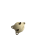 13c5b9a12145570b5c6923cf56bd9560