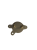 608077963a1eb20fae1c25a888f911bc